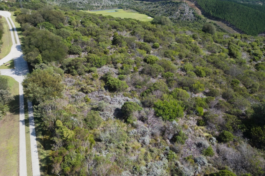 Commercial Property for Sale in Pezula Private Estate Western Cape